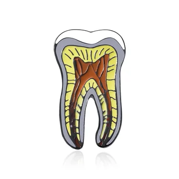  Harong Новая структура зуба, анатомия, Эмалевая булавка, Медицинская брошь для друзей стоматолога, медсестры, значок на лацкан, подарочные украшения